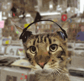 1460427777113296.gif